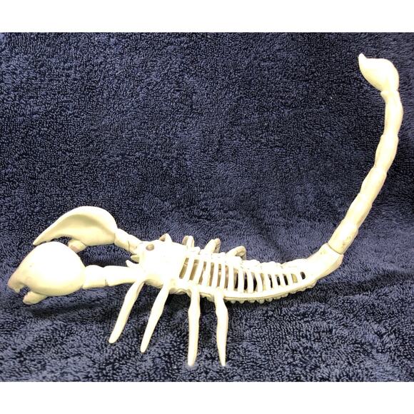 Halloween Skeleton Scorpion Scary Bones 7x6 - Picture 2 of 10